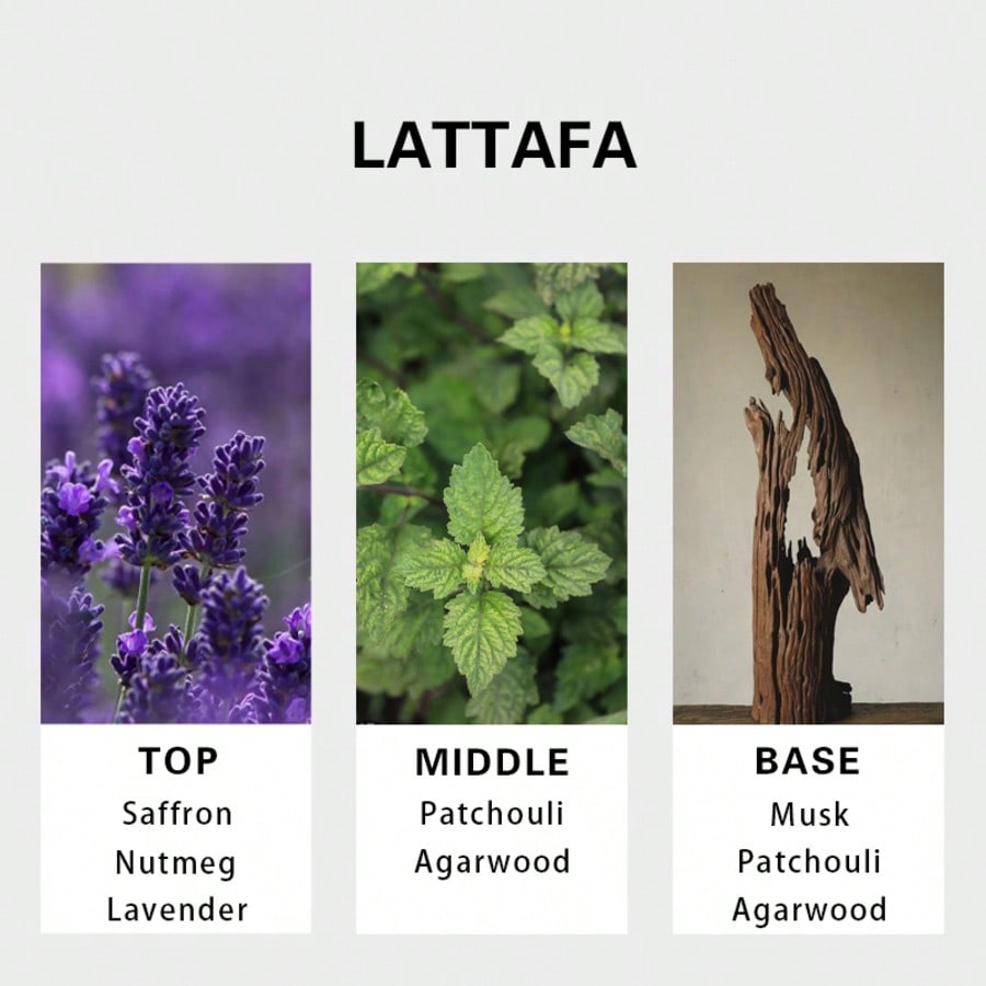 Lattafa Badee Al Oud For Glory - Perfume Xeryus reseña y precio