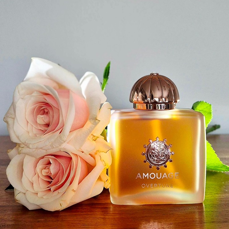 Perfume de Lujo para Mujer AMO - The Collection Perfume Fragrance reseña y precio